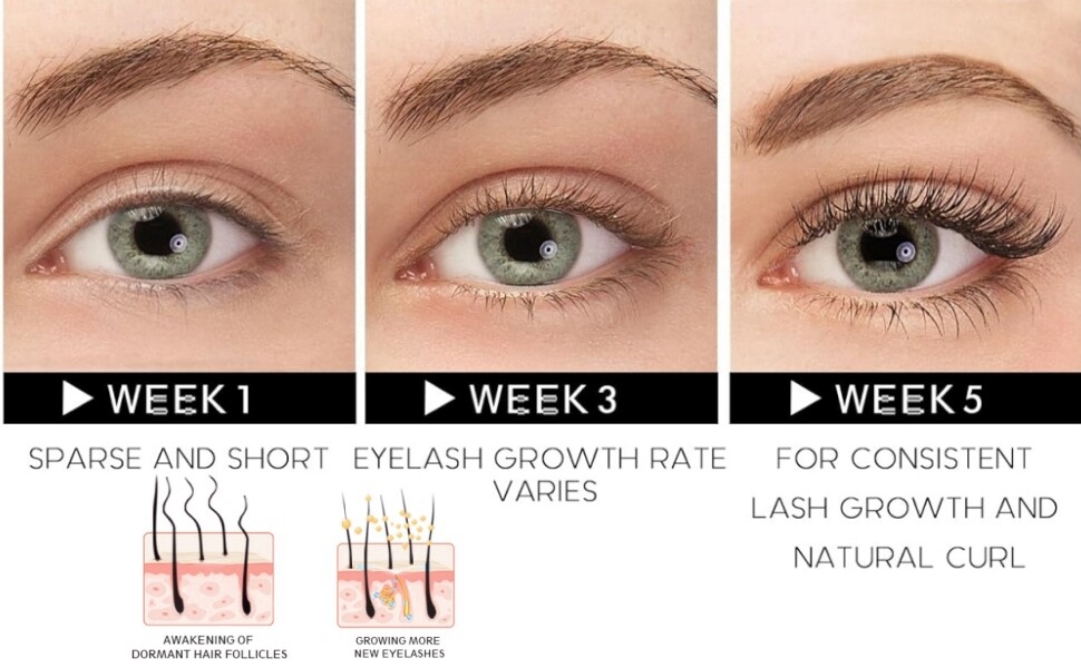brow serum eyelash growth eyelash serum for growth eyebrow growth eyelashes serum lash and browserum
