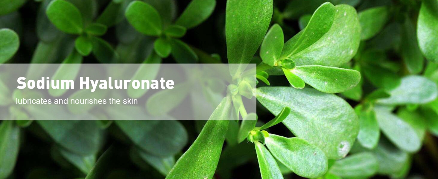 Forehead Wrinkle Patches