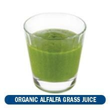organic alfalfa grass juice