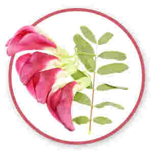 2500mcg Biotin from Organic Sesbania