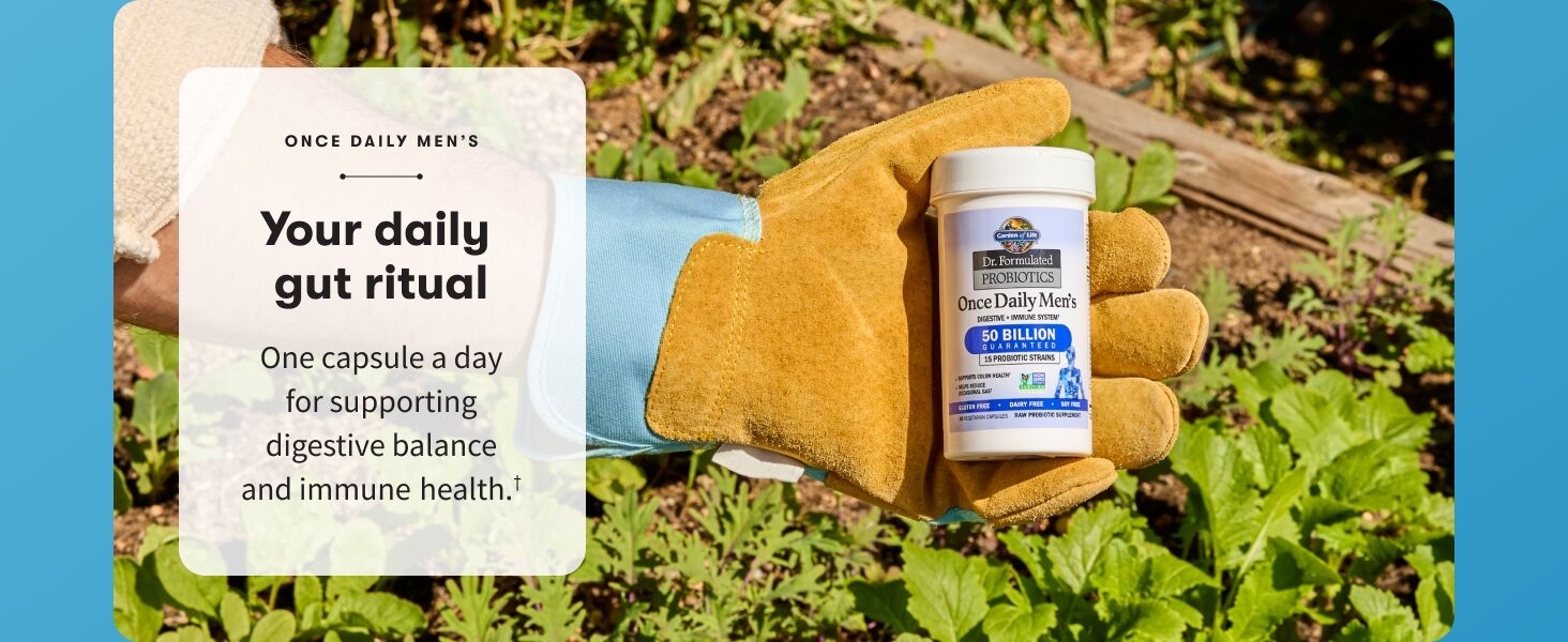 Once Daily Men's: Your daily gut ritual