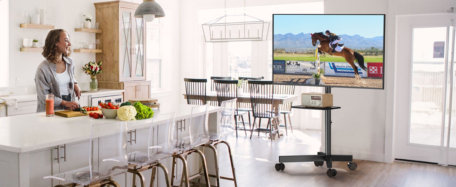 mobile tv stand