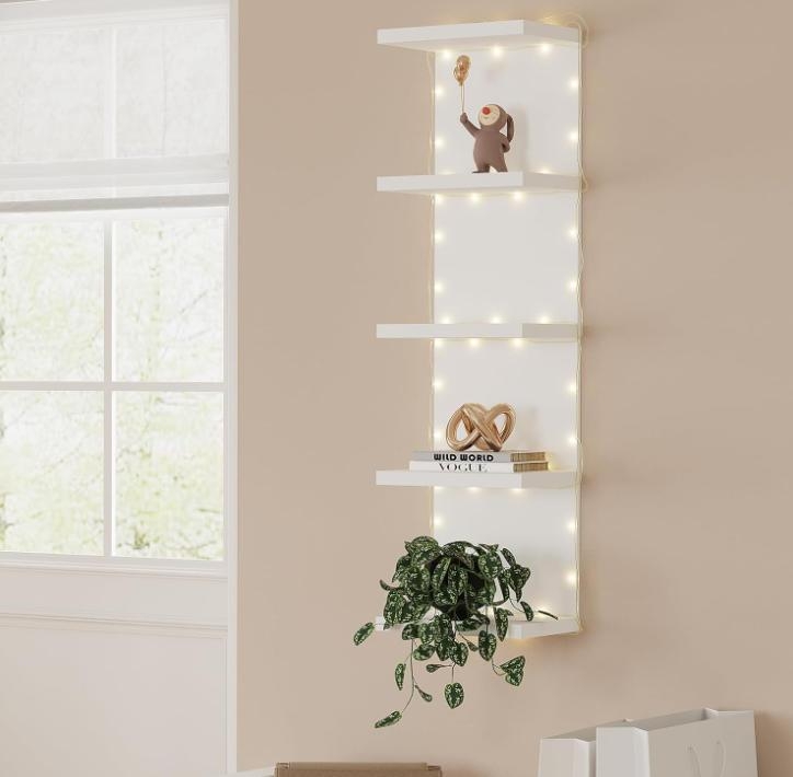 https://ng.jumia.is/cms/external/pet/GE779FD7IR9ZZNAFAMZ/9fd6a7a5f278dd89f565d36e46e968b2.jpg