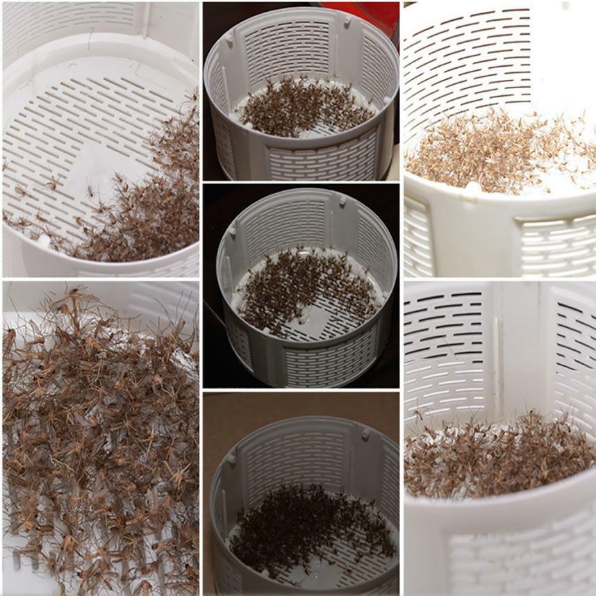 CNN80515434_20180515014601614