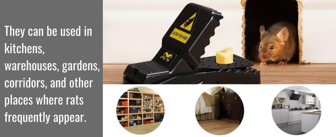 https://ng.jumia.is/cms/external/pet/GE779IP7VCDKNNAFAMZ/3516f0f7174440babb6d9aa02887a93e.jpg