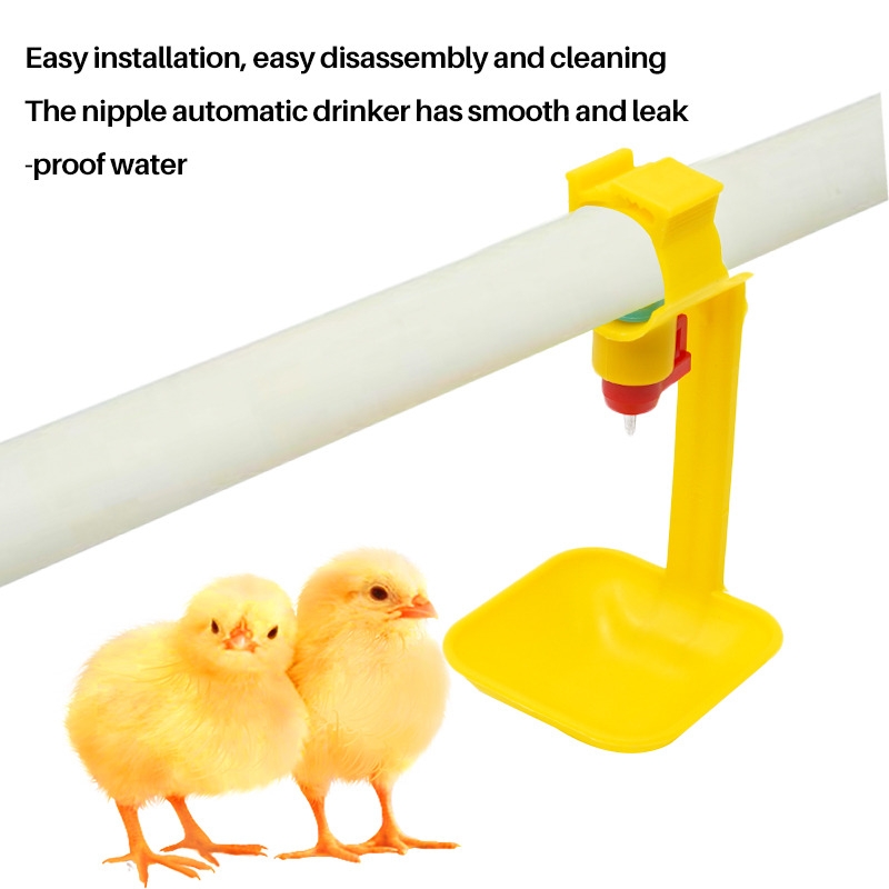 https://ng.jumia.is/cms/external/pet/GE779LS7A9WXZNAFAMZ/772038c080c7fd6426656b927fe95260.jpg