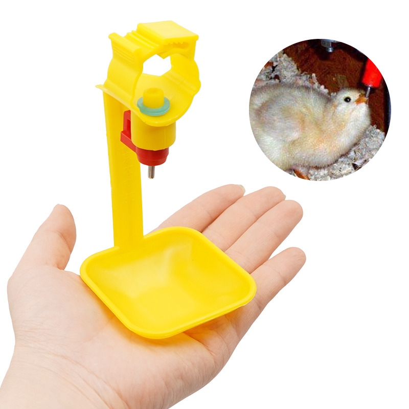https://ng.jumia.is/cms/external/pet/GE779LS7A9WXZNAFAMZ/bdc615a9272f3ef25736c25c4e531348.jpg