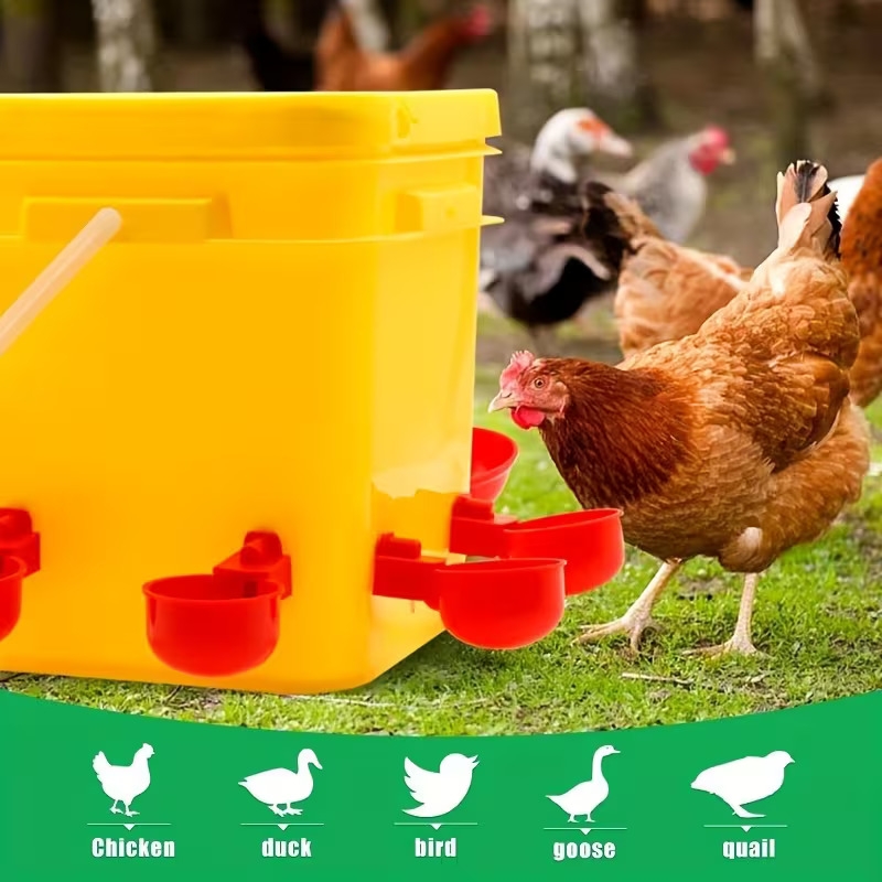easy to clean poultry waterer with multiple drinking cups durable plastic no battery required ideal for chickens ducks and geese 10 cups for feeding and hydration chicken waterer Product details 3