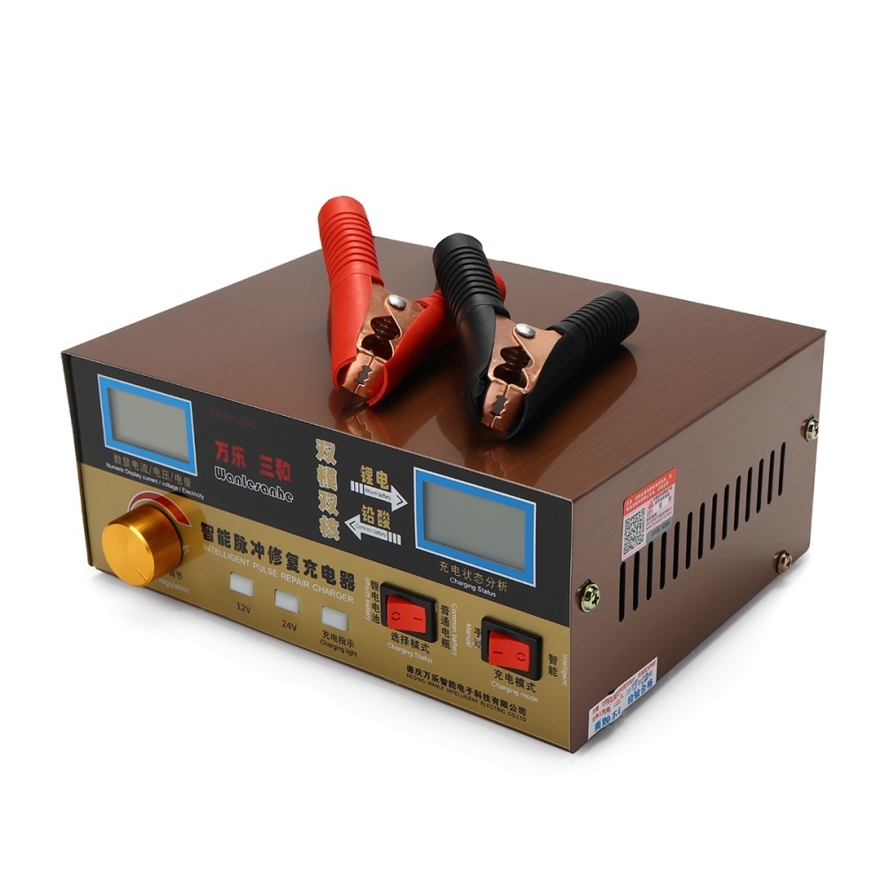 Generic Automatic Intelligent Pulse Repair Type 12V/24V 6AH400AH Car