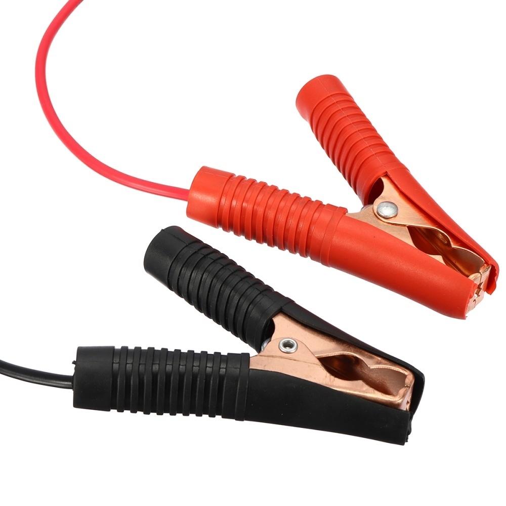 Generic Automatic Intelligent Pulse Repair Type 12V/24V 6AH400AH Car