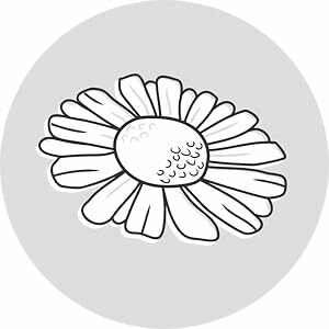 Peter Thomas Roth, Cucumber Gel Mask Extreme De-Tox Hydrator, ingredients, chamomile extract