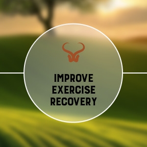 Immune System Booster