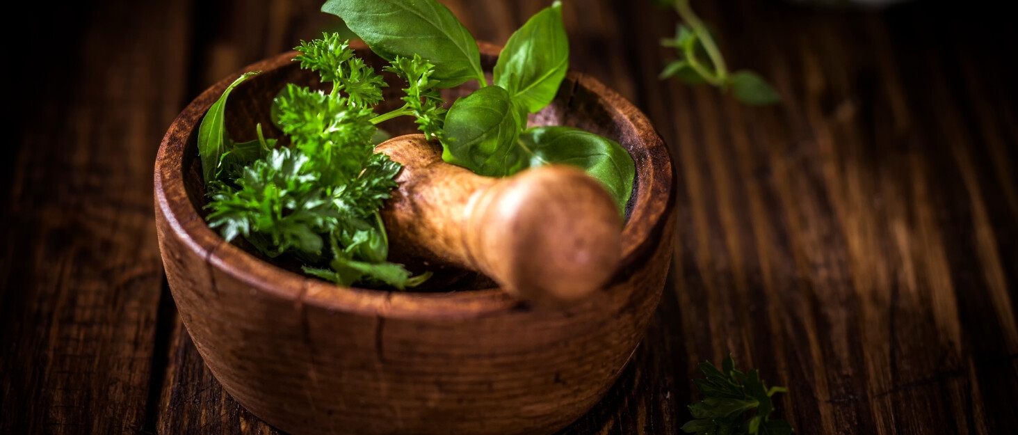 orgain organic vegan protein + 50 superfoods powder