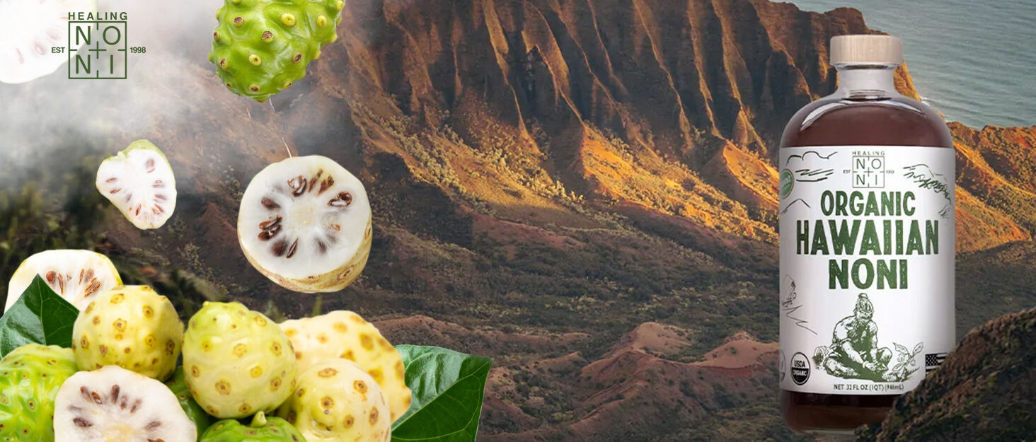 noni juice organic 100 pure nono original de peso fruit powder bitter gourd beetroot drink drinking 