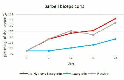 barbell bicep curl results