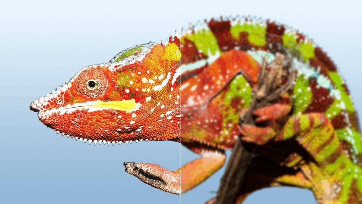 微信图片 20250428094955