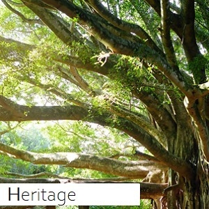 Heritage