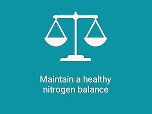 vascular, support, successful, athlete, growth, vegetable, cellulose, eye, arginine