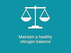 vascular, support, successful, athlete, growth, vegetable, cellulose, eye, arginine