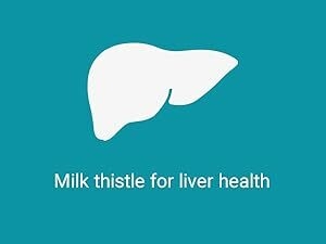 higado  vitamin  cleansing  cleanser  sily  capsule  daily  limpieza  herbal  root  mcg  organics