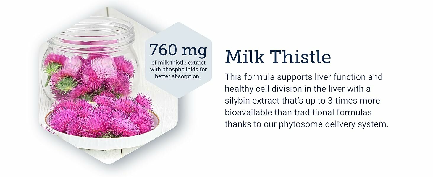  sily  capsule  daily  limpieza  herbal  root  mcg  organics  herb  anti  refresh  repair  well 