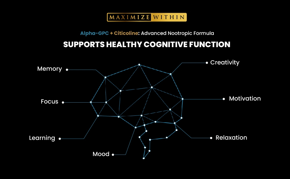 Alpha GPC Brain function support supplement Memory and focus enhancer Cognitive enhancer supplement