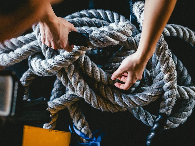 muscle milk gainer protein powder