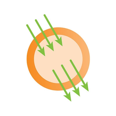 app_02_feed
