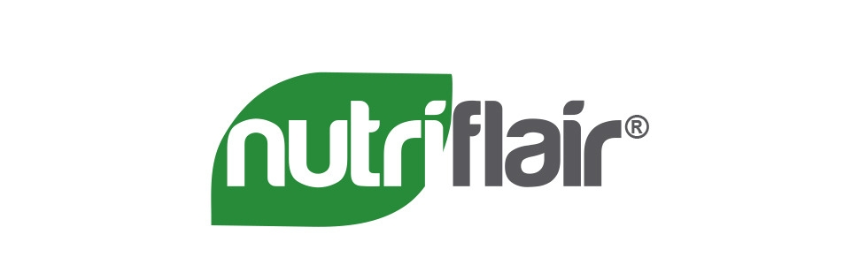 nutriflair turmeric curcumin berberine ginger 95 standardized curcuminoids pills capsules best joint