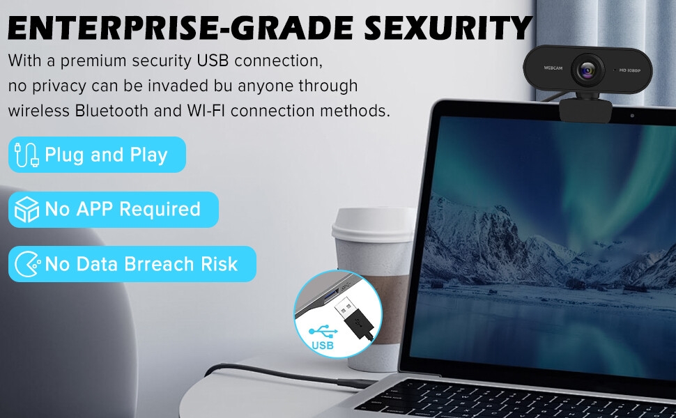 1080P Webcam with Microphone