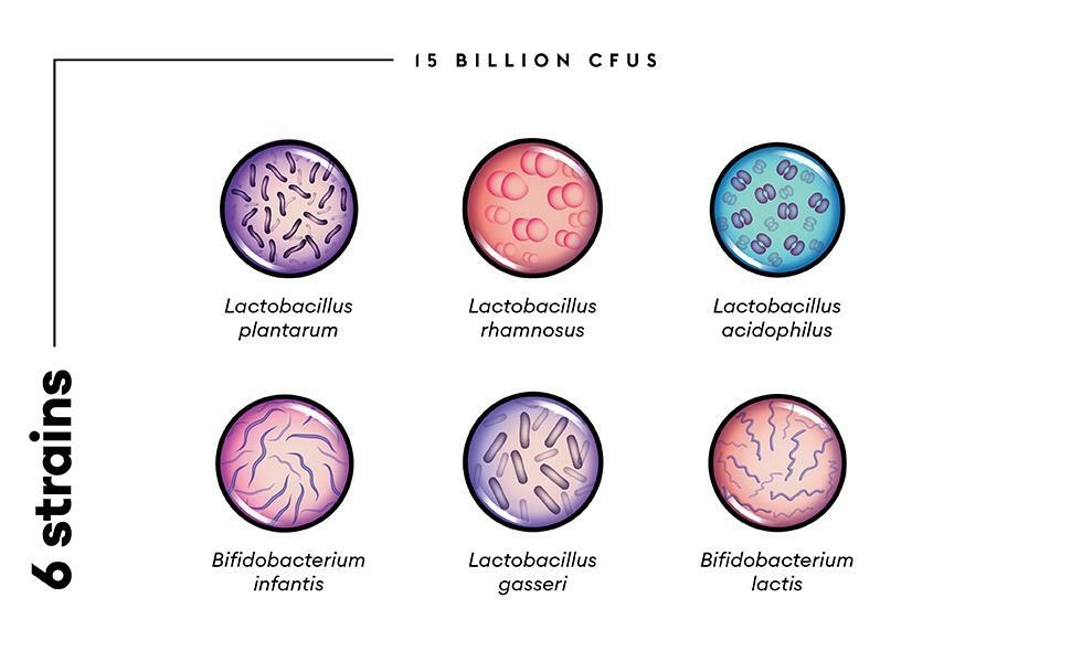 Physician's Choice Thin 30 Probiotic, 6 strains, 15 billion CFUs