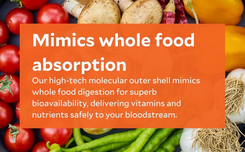 liposomal natural b12 bioavailable