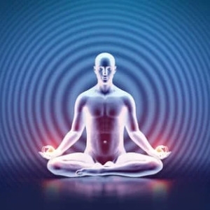 sublingual b12 methylcobalamin humic fulvic acid b12 vitamins vegan mary ruth organic