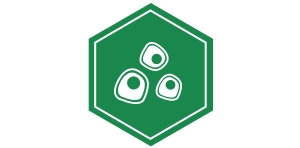 Probiotic Supplement