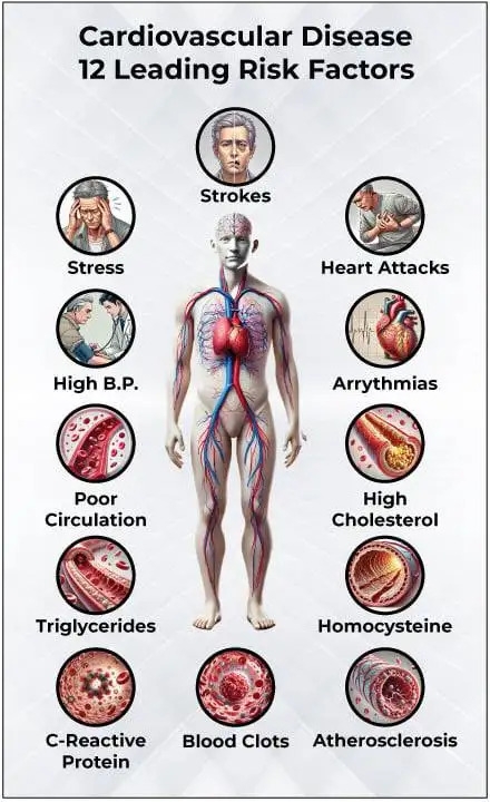 12 risk factors for cardiovascular disease