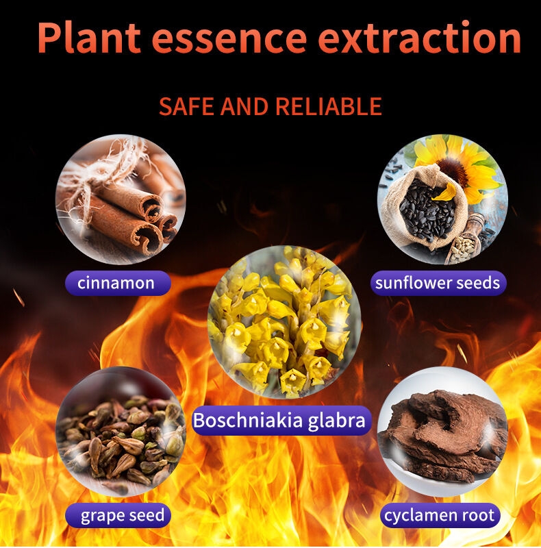 1. Cinnamon Sticks: Cinnamon sticks for natural plant essence extraction. 2. Sunflower Seeds: Sunflower seeds used in safe and reliable plant essence extraction. 3. Boschniakia Glabra: Boschniakia glabra, a key ingredient in plant essence extraction. 4. Grape Seeds: Grape seeds featured in plant essence extraction for health benefits. 5. Cyclamen Root: Cyclamen root for effective plant essence extraction in natural products