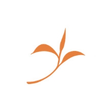 two leaves and a bud graphic