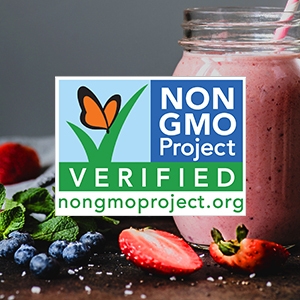 vegan plant based protein powder greens meal replacement gluten free dairy free best tasting