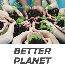 vegan plant based protein powder greens meal replacement gluten free dairy free best tasting