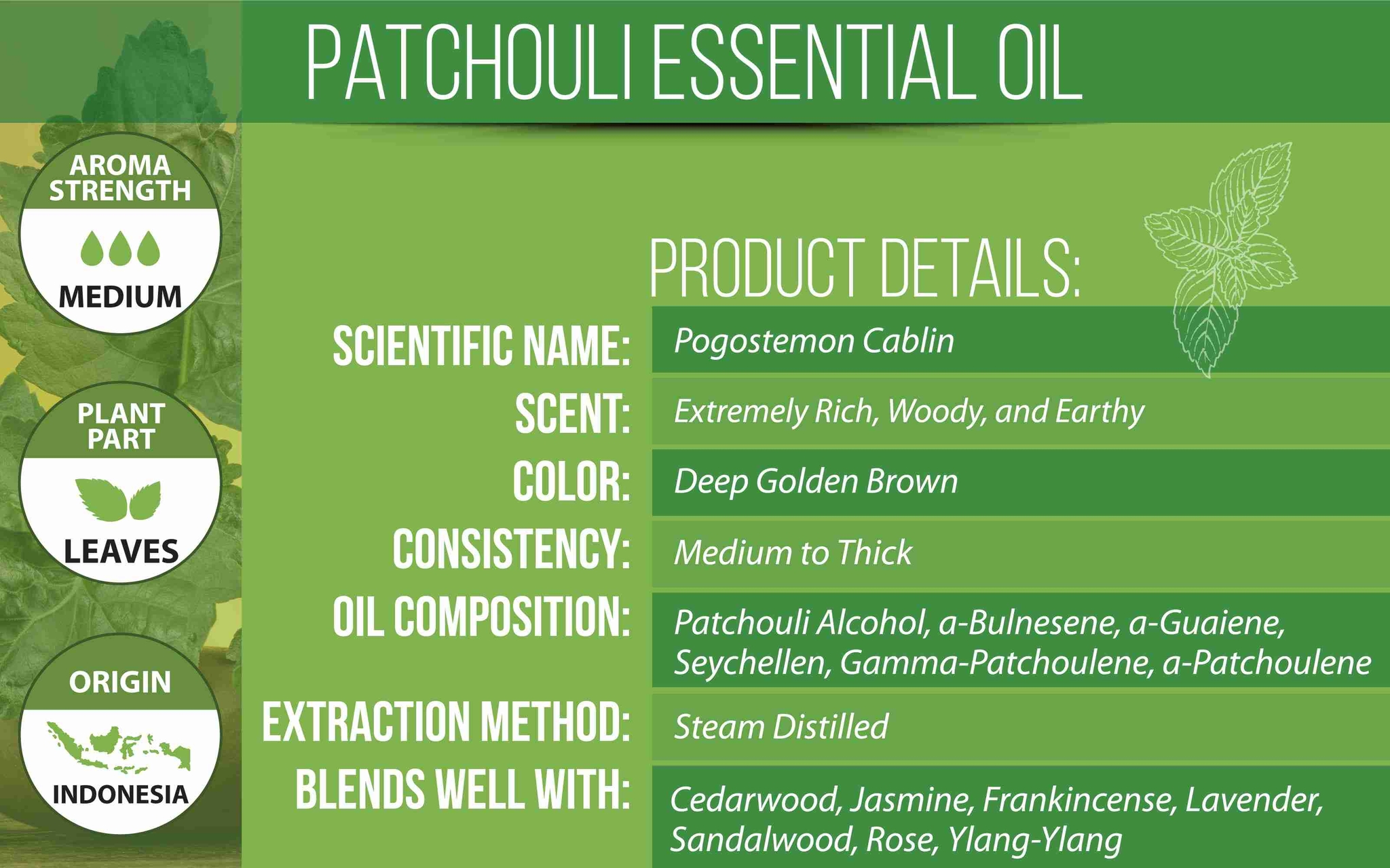 Patchouli Essential Oil Product Details