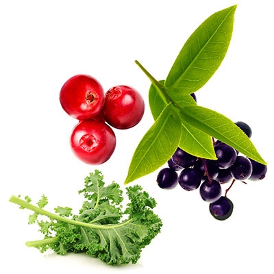 app_04_flavonoid