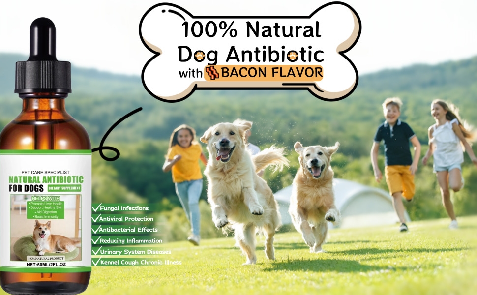 Text reads '100% Natural Dog Antibiotic with BACON FLAVOR'. Marketing image showing amber bottle with dropper and product packaging against background with running dogs in grassy field.