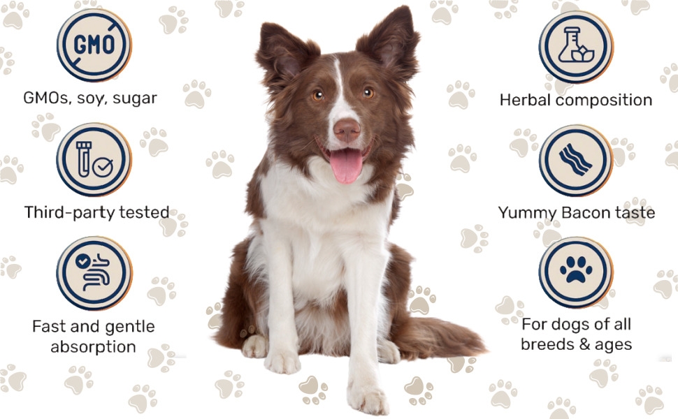 Text reads 'GMO & soy-free', 'Herbal Composition', 'Third-party tested', 'Yummy Bacon taste', 'Fast and gentle absorption', 'For dogs of all breeds & ages'. Icons with pet-related symbols.