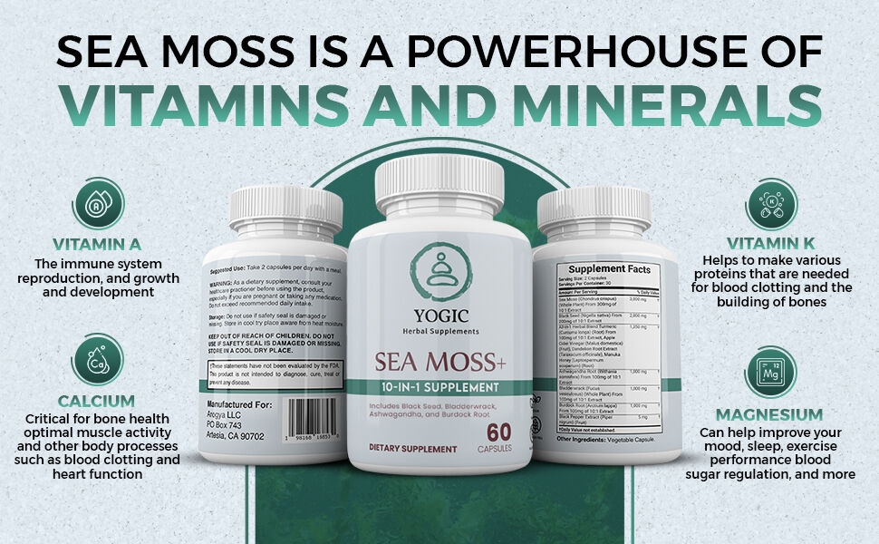 Minerals and Vitamins 