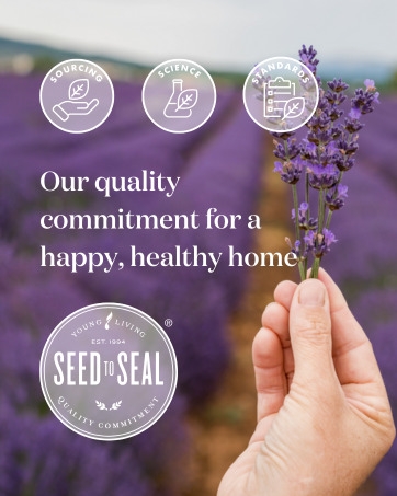 toilet cleaner, stainless steel cleaner, shower cleaner, glass cleaner, window cleaner