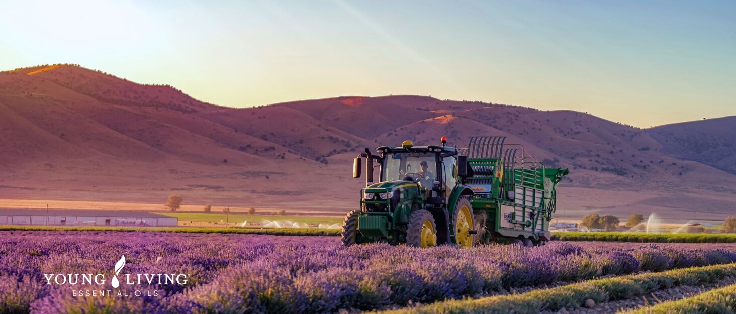 toilet cleaner, stainless steel cleaner, shower cleaner, glass cleane, window cleaner