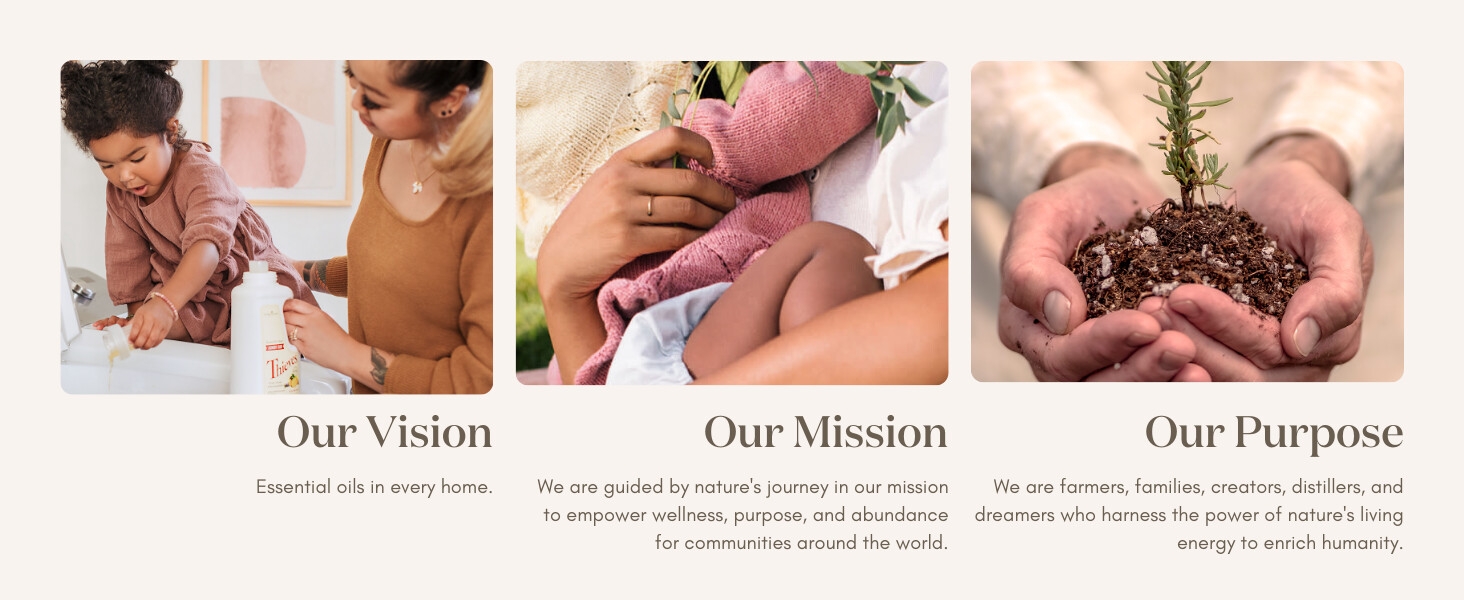 fabric cleaner spot cleaner tile floor cleaner thieves household cleaner concentrate scent clean