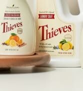 toilet cleaner, stainless steel cleaner, shower cleaner, glass cleaner, window cleaner