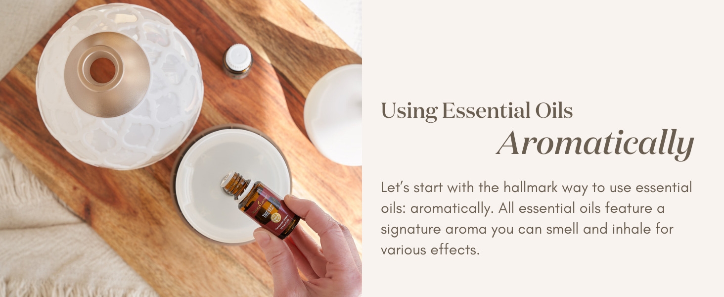 window cleaner floor cleaner oven cleaner all purpose cleaner fresh stuff mirrors couch cleaner