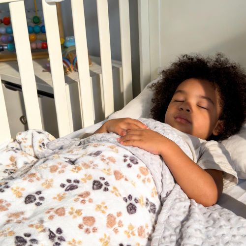 Blanket for Boys & Girls - Soft Double Layer with Dotted Backing, Throw Blankets Washable Heavy Blankets, Soft Fuzzy Flannel Blanket for Bed Couch Sofa Decor, Winter Weighted Comforter, Toddler to Newborn